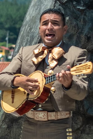 mariachis en Tlalpan 