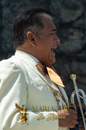 mariachis en Casco de San Juan Chalco 