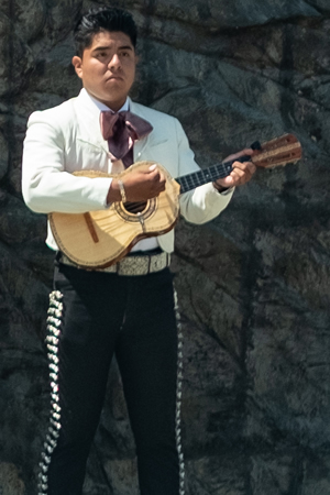 mariachis en Tlalpan 
