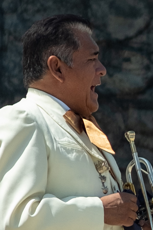 mariachis en Tlalpan 